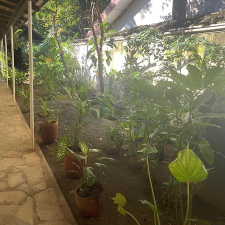 Hostal Casa Abierta León Dış mekan fotoğraf