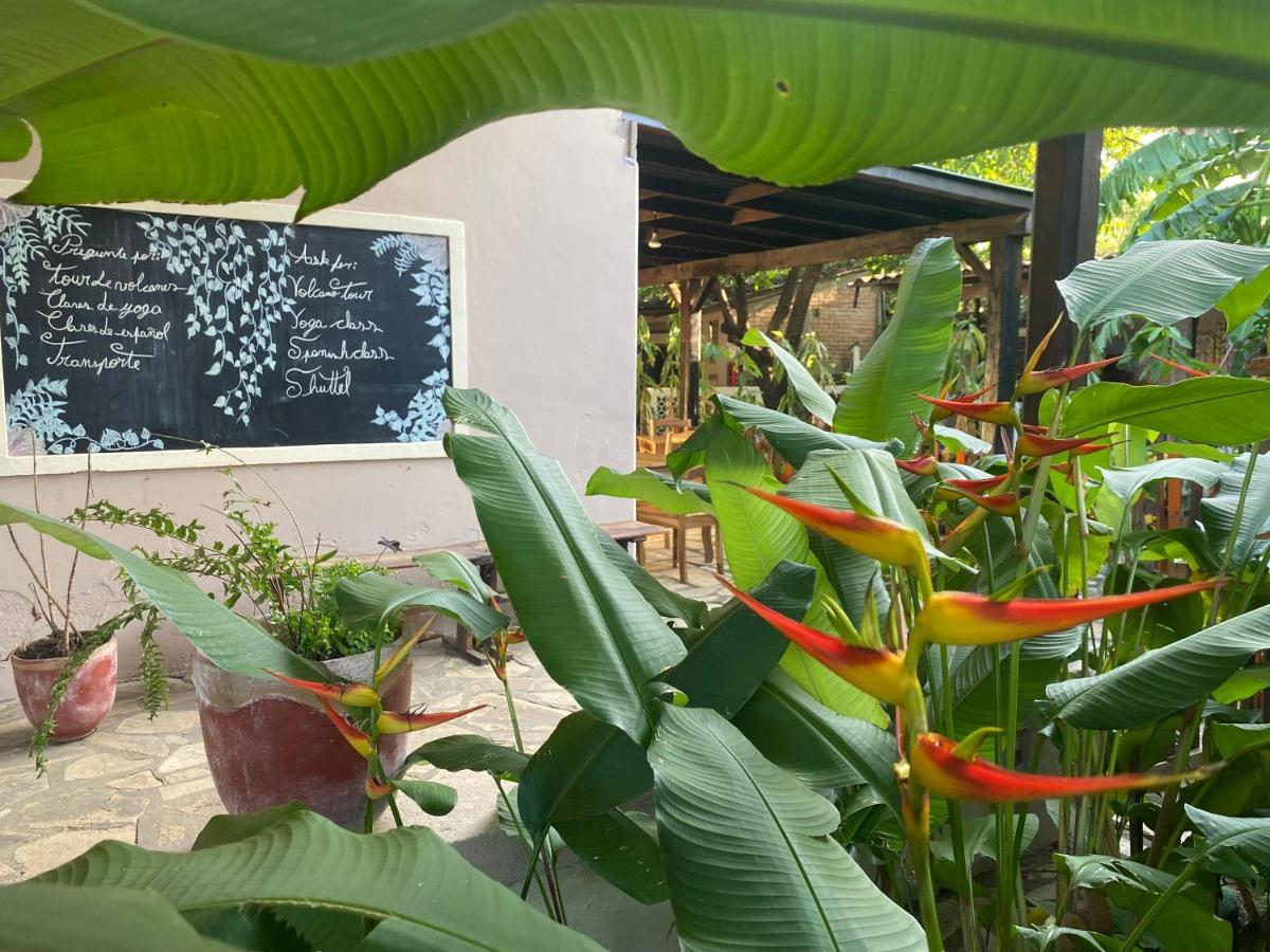 Hostal Casa Abierta León Dış mekan fotoğraf