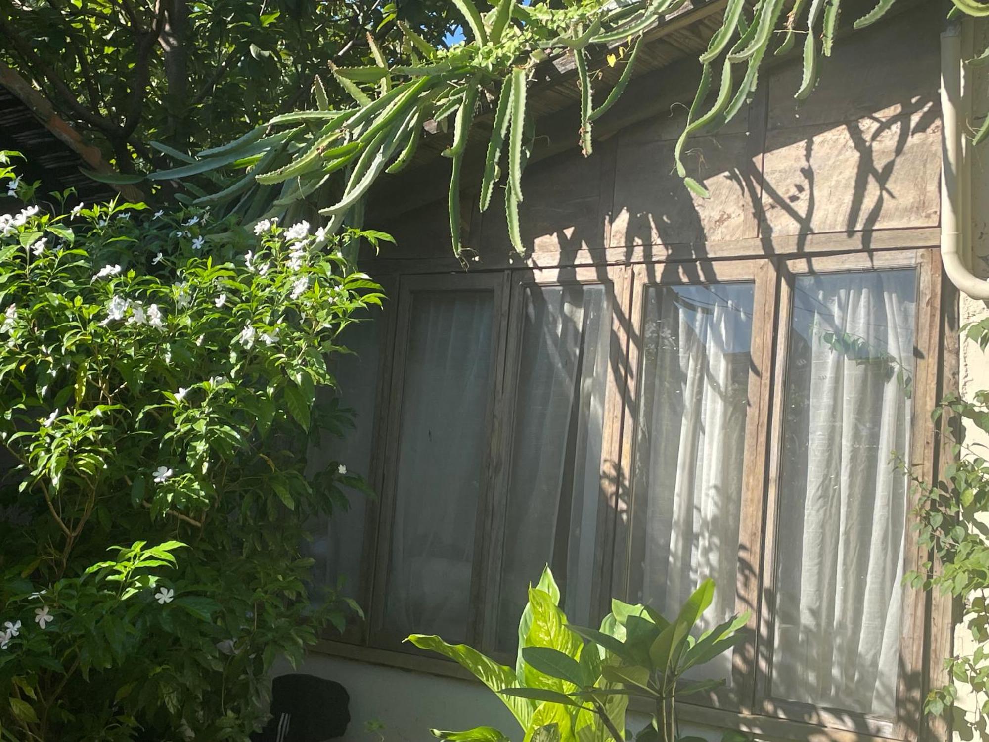 Hostal Casa Abierta León Dış mekan fotoğraf