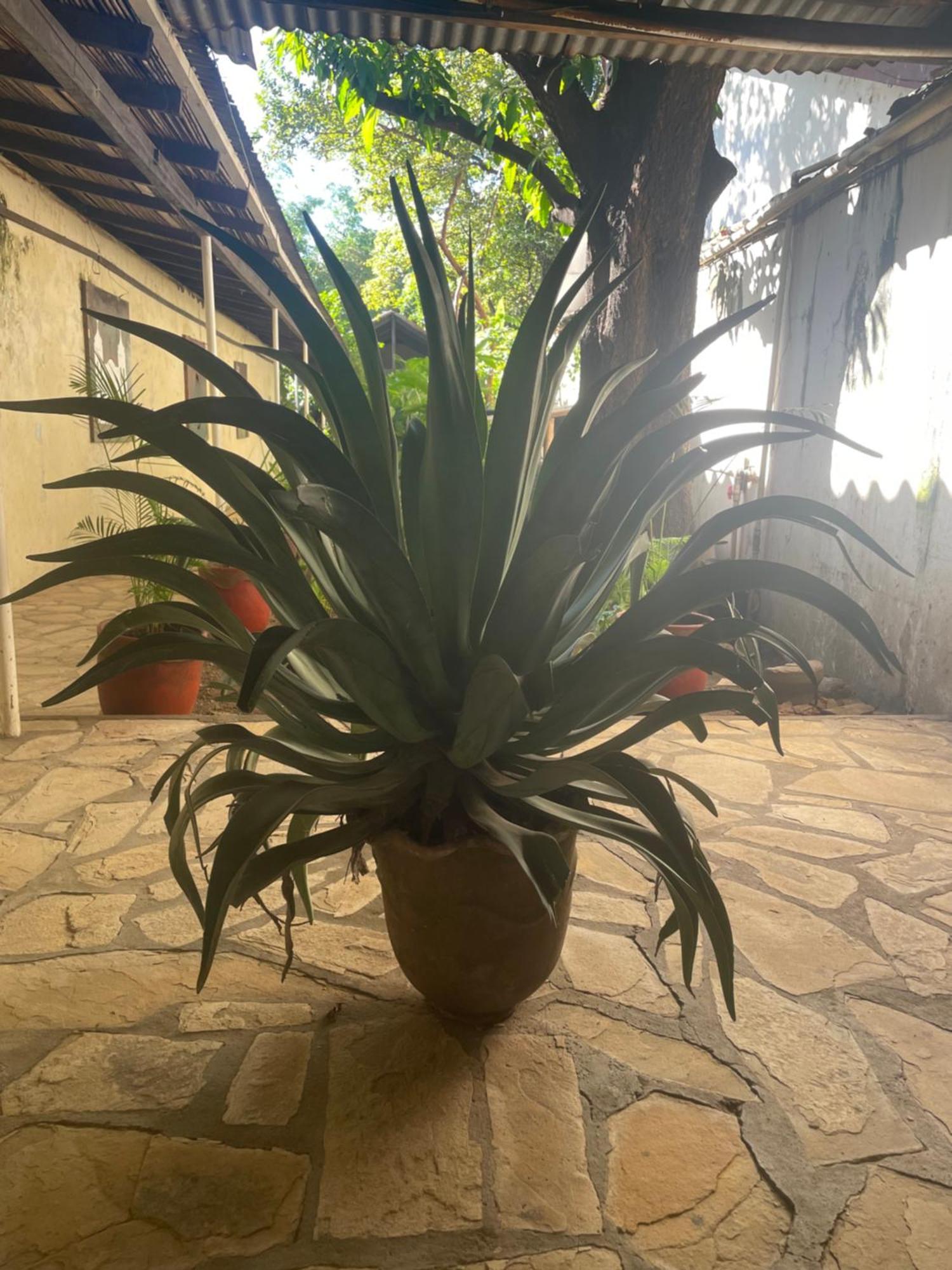 Hostal Casa Abierta León Dış mekan fotoğraf