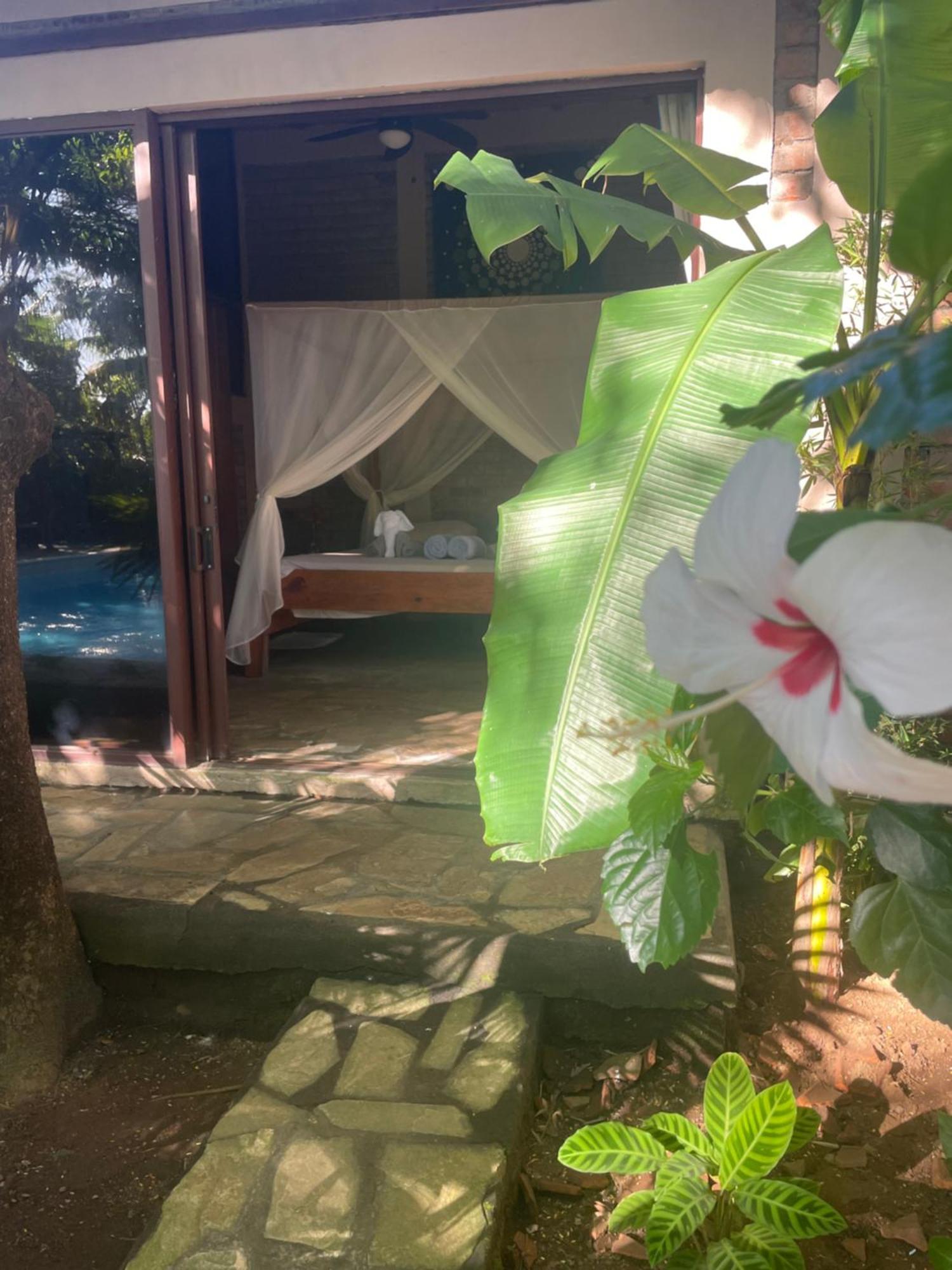 Hostal Casa Abierta León Dış mekan fotoğraf